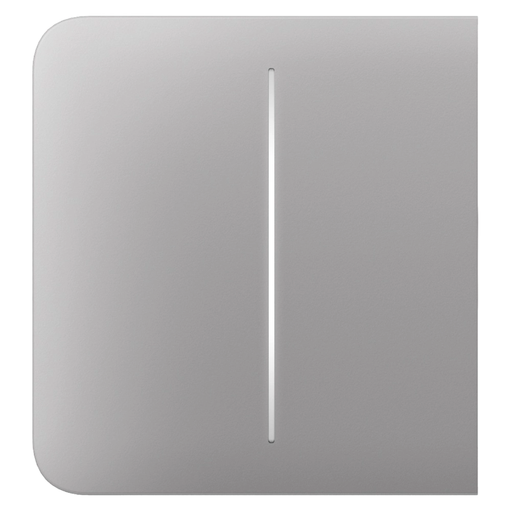 Ajax SideButton (2-gang) [55] fog