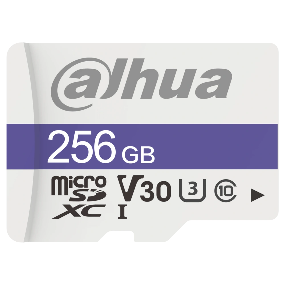 Dahua DHI-TF-C100/256GB