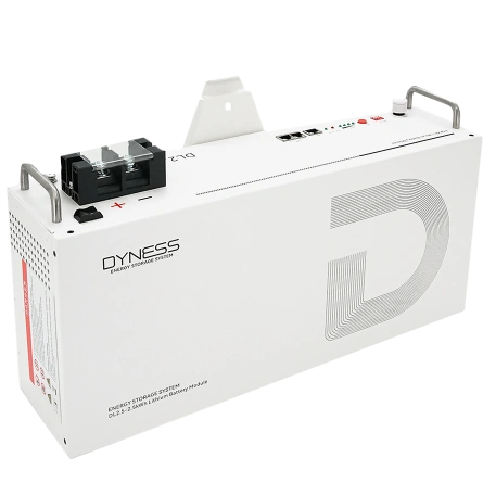 Dyness DL2.5, 25.6V/100Аh