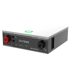 Dyness DL5.0C PRO 51.2В 5.12 кВт•ч 100А с подогревом Wi-Fi модулем