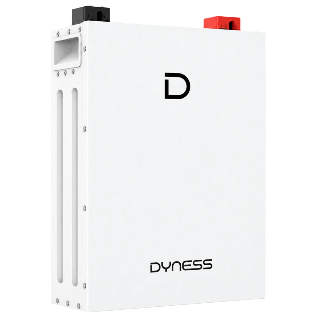Dyness DL5.0F 51.2V 100AH