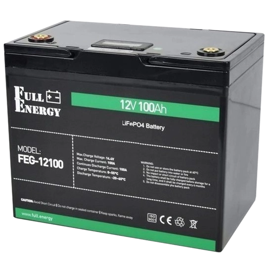 Full Energy FEG-12100 12В 100А•ч 100А