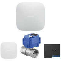 Комплект охранной сигнализации Ajax AHWL2E3.4220V