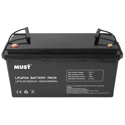 Must LP15-24100 25.6В 100А•г