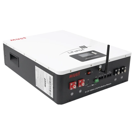 Must LP16-48100 51.2В 100А•ч