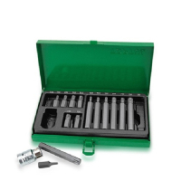 Набор бит Toptul TORX 10мм 15шт. (GAAD1506)