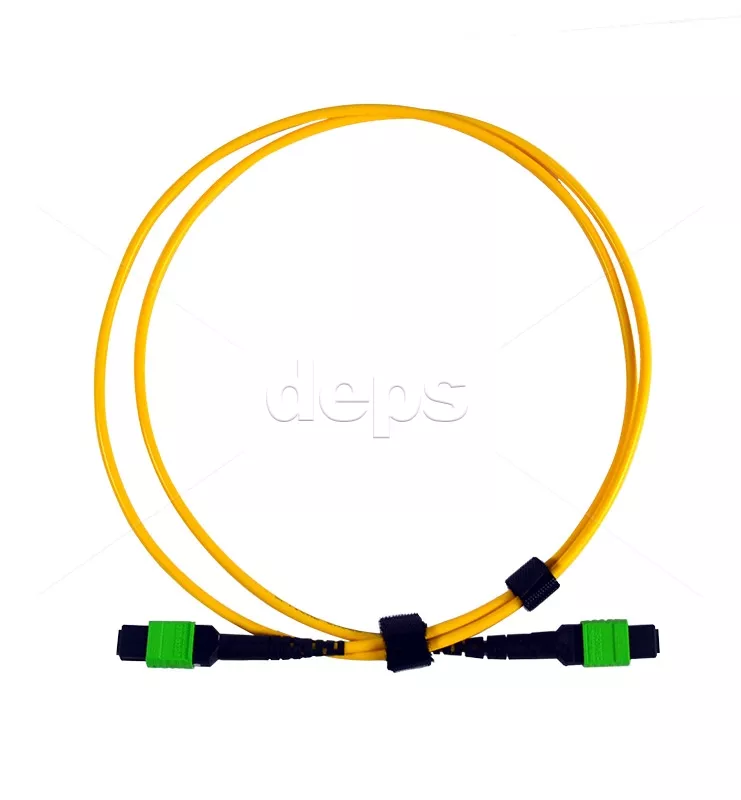 Оптичні патчкорди MTP Patchcord MTP/MTP-8MMF-5