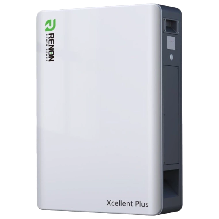 Renon Xcellent Plus 51.2В 314А•г