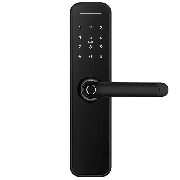 SEVEN LOCK SL-7766BF black (без врізної частини)