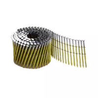 Цвяхи Bostitch F, для барабанних обойм, L=40мм, d=2.5мм, d капелюшка 7.2мм, 13860 шт (F250R40Q)